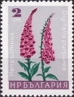 (1966-096) Марка Болгария "Наперстянка пурпурная"   Садовые цветы I Θ