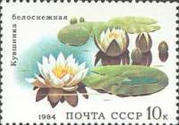 1984-041 Марка СССР Белоснежная кувшинка  Водные растения III Θ
