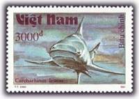 (1991-041) Марка Вьетнам "Тупорылая акула"    Акулы III Θ