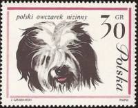 (1963-006) Марка Польша "Польская низинная овчарка"   Собаки III O