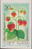 (1981-041) Марка Вьетнам "Земляника лесная"    Фрукты III Θ