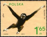 (1972-026) Марка Польша "Гиббон"    Животные из зоопарка II Θ
