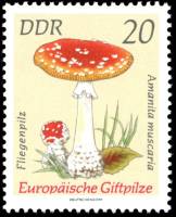 (1974-031) Марка Германия (ГДР) "Мухомор красный"    Ядовитые грибы III Θ