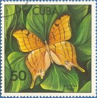 (1982-015) Марка Куба "Антильское крыло"    Бабочки III Θ