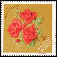 (1963-025) Марка Венгрия "Розы"    5-я Венгерская выставка роз в Будапеште II Θ
