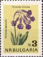(1963-050) Марка Болгария "Примула божественная"   Цветы II Θ