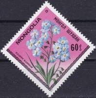 (1979-020) Марка Монголия "Незабудка азиатская"    Цветы III Θ