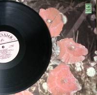 Пластинка виниловая Верасы Наша дискотека Мелодия 300 мм. Excellent