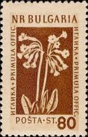 (1954-006) Марка Болгария "Примула (23.03)"   Лекарственные растения Болгарии (3) II Θ
