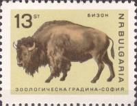(1966-035) Марка Болгария "Бизон"   Софийский зоопарк II O