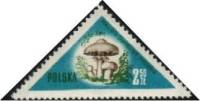 (1959-013) Марка Польша "Шампиньон"   Грибы III Θ