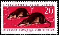 (1962-003) Марка Германия (ГДР) "Обыкновенная бурозубка"    Охраняемые животные III Θ