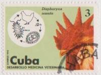 (1975-072) Марка Куба "Петух"    Развитие ветеринарии III Θ