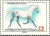 (1980-101) Марка Болгария "Домашняя лошадь"   Породы лошадей II Θ