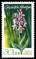(1970-035) Марка Германия (ГДР) "Ятрышник шлемоносный"    Растения под защитой II Θ