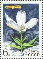 1977-028 Марка СССР Ясколка крупная  Цветы гор Сибири III O