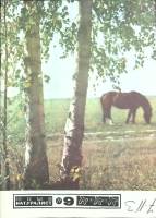 Журнал Юный натуралист 1977 № 9 Москва Мягкая обл. 48 с. С цв илл