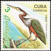(1989-049) Марка Куба "Цапля"    Птицы III Θ