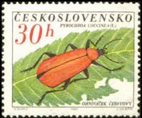 (1962-058) Марка Чехословакия "Жук Огненный"    Жуки II Θ