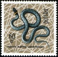 (1963-027) Марка Польша "Обыкновенный уж"   Рептилии и амфибии III Θ