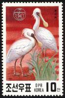 (1991-010) Марка Северная Корея "Малая колпица"   Редкие виды птиц III Θ