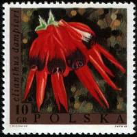 (1968-017) Марка Польша "Свайнсона прекрасная"   Выставка цветов II Θ