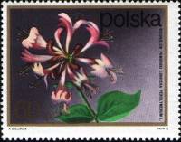 (1972-075) Марка Польша "Жимолость"    Кустарниковые Цветы II Θ