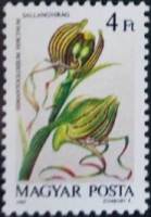 (1987-050) Марка Венгрия "Ремнелепестник"    Орхидеи II Θ