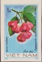 (1981-043) Марка Вьетнам "Джамбу"    Фрукты III Θ
