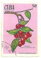 (1970-010) Марка Куба "Пикрамния кубинская"    Лекарственные растения III Θ