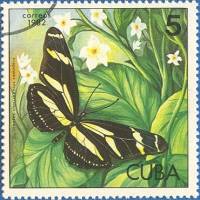 (1982-012) Марка Куба "Длиннокрылая зебра"    Бабочки III Θ