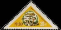 (1959-008) Марка Польша "Бледная поганка"   Грибы II O