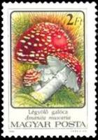 (1986-070) Марка Венгрия "Мухомор красный"    Ядовитые грибы II Θ