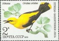 1979-070 Марка СССР Иволга   Птицы III O