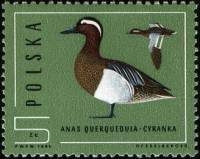(1985-040) Марка Польша "Чирок-трескунок"    Охрана природы. Дикие утки II Θ