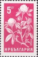 (1965-016) Марка Болгария "Клевер"   Стандартный выпуск. Сельскохозяйственные культуры III Θ