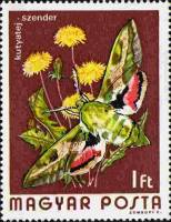 (1974-082) Марка Венгрия "Бражник молочайный"    Бабочки II Θ