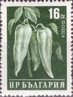 (1958-033) Марка Болгария "Перец" Перф греб 13   Стандартный выпуск. Овощи II Θ