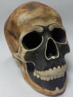 Декоративная композиция "Большой череп " 14х15 см