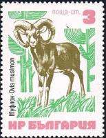 (1973-041) Марка Болгария "Муфлон "    Редкие животные (млекопитающие) III Θ