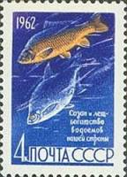 1962-079 Марка СССР Лещ и сазан   Рыбы II Θ