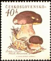 (1958-045) Марка Чехословакия "Белые грибы"    Грибы III Θ