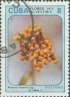 (1974-069) Марка Куба "Флаверия"    Полевые цветы III Θ