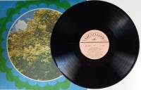 Пластинка виниловая Г. Карева Русские старинные романсы Мелодия 300 мм. (сост. на фото)