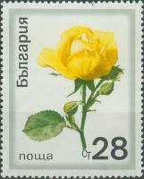 (1970-035) Марка Болгария "Жёлтая роза"   Розы III Θ