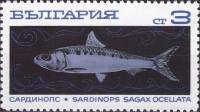 (1969-101) Марка Болгария "Сардина"   Океанское рыболовство II Θ