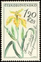 (1964-028) Марка Чехословакия "Ирис"    Цветы III Θ