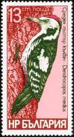 (1978-061) Марка Болгария "Средний пёстрый дятел"   Дятлы III Θ