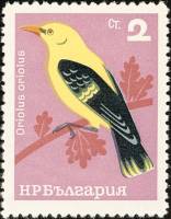 (1965-022) Марка Болгария "Иволга"   Певчие птицы II Θ