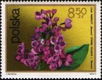 (1972-080) Марка Польша "Сирень"    Кустарниковые Цветы II Θ